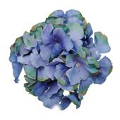 Hortensja wyrobowa lt.navy
