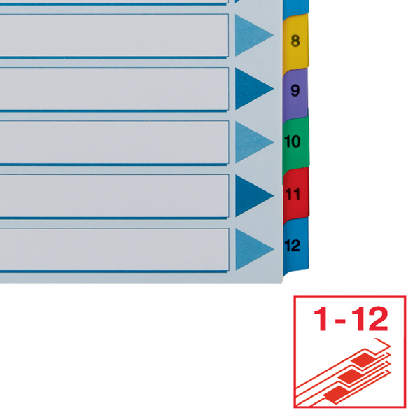 PRZEKŁADKI A4 1-12 MYLAR ESSELTE zdjęcie 5