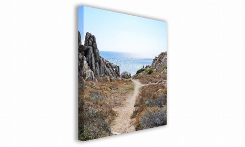 OBRAZ NA PŁÓTNIE 100 Ścieżka nad morze 50x50cm na Arena.pl