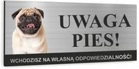 Tabliczka UWAGA ZŁY PIES - MOPS aluminium dibond