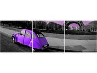 90X30CM CYTRYNA FIOLECIE TRÓJ OBRAZ