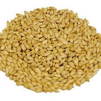 Słód karmelowy jasny Carahell  20-30 EBC Weyermann  - 1 kg