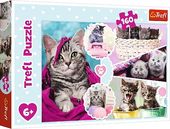 Puzzle 160 Urocze Kotki 15371