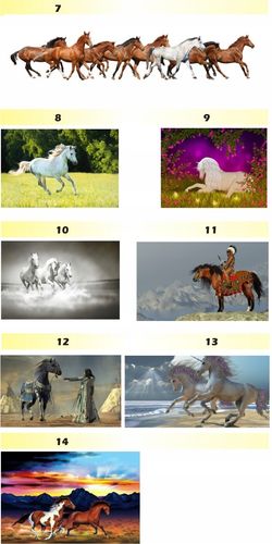 FOTOTAPETA zwierzęta brodzące FLAMINGI animacja na Arena.pl