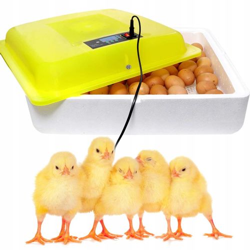 AUTOMATYCZNY INKUBATOR DO JAJ WYLĘGARKA 88 JAJ 80W na Arena.pl