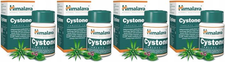 Cystone Wsparcie W Kamicy Nerkowej 100 Tabletek zdjęcie 1