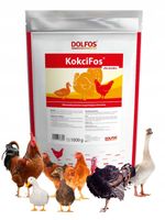 KokciFos 1kg preparat dla drobiu na kokcydiozę bakterie grzyby wirusy