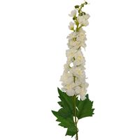 Ostróżka pojedyncza biała