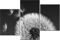 product-compare-58699909