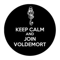 Przypinka Harry Potter