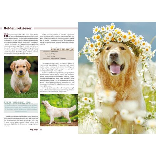 Mój Pupil Twarda Oprawa 224 Strony na Arena.pl