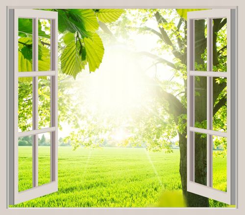 FOTOTAPETA 3D OKNO widok most kładka las drzewa na Arena.pl