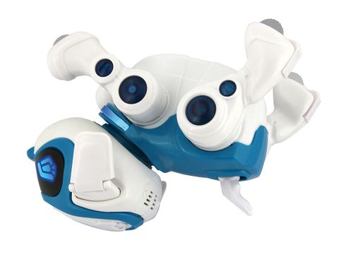 Interaktywny Piesek Teksta 360 na Arena.pl