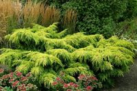 product-compare-44419517