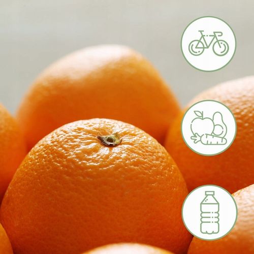 RUTYNA WITAMINA C 500mg - ODPORNOŚĆ CODZIENNA PROFILAKTYKA SELEN 180 TAB. na Arena.pl