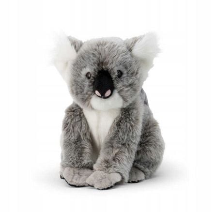 Koala z dzieckiem na Arena.pl