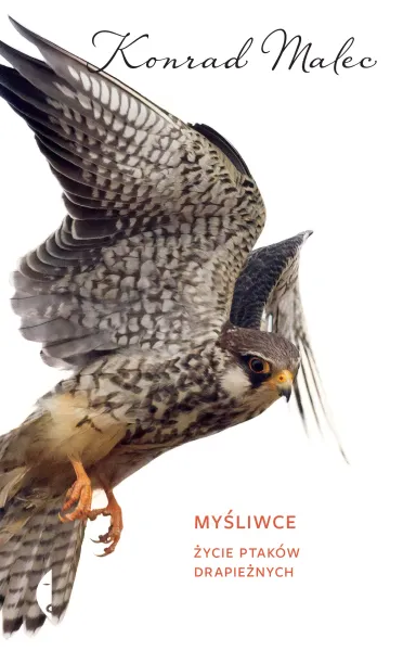 Myśliwce. Życie ptaków drapieżnych zdjęcie 1