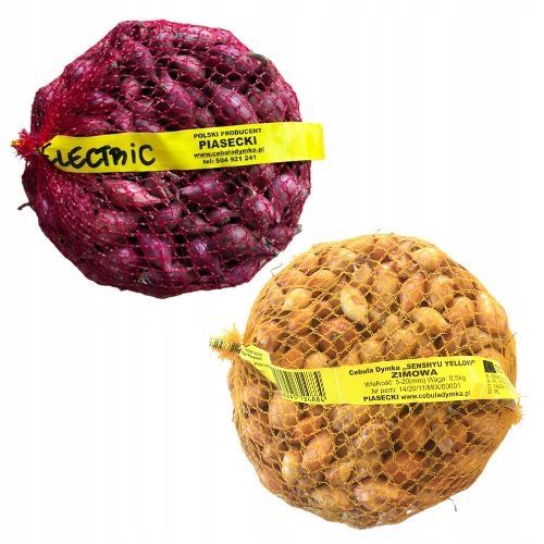 Zimowy zestaw do sadzenia cebula dymka - 2x500g na Arena.pl