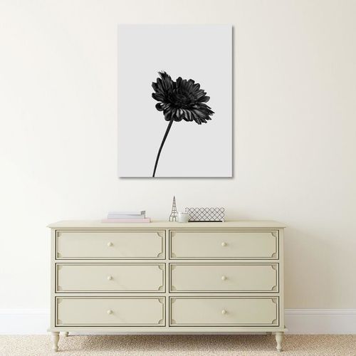 Deco Panel, Pojedynczy kwiat 2 60x80 na Arena.pl