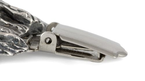 Cavalier King Charles Spaniel - klips - 2548 na Arena.pl