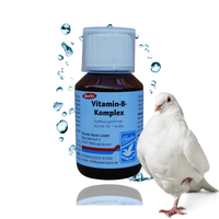 vitamin b-kompleks  dla siły 100ml