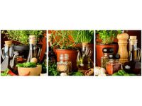 product-compare-58647805