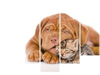 product-compare-58694291