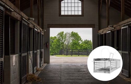 MYSZOŁAPKA ŻYWOŁAPKA PUŁAPKA ŁAPKA NA MYSZY I SZCZURY CHWYTACZ na Arena.pl