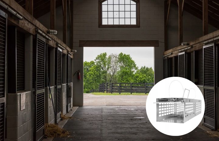 MYSZOŁAPKA ŻYWOŁAPKA PUŁAPKA ŁAPKA NA MYSZY I SZCZURY CHWYTACZ zdjęcie 10