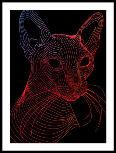 Plakat 40x55cm Cyfrowa Kocica na Arena.pl