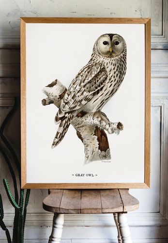 Plakat sowa vintage 30x40 cm na Arena.pl