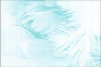 Tło PRODUKTOWE kulinarne Flat Lay na bloga insta