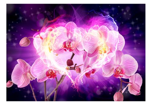 Fototapeta - Orchidee w płomieniach 100x70 na Arena.pl