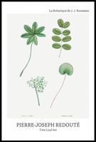 Plakat 61x91,5cm Design Tree Leaf Set, Redoute Vintage do Salonu