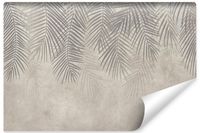 Fototapeta LIŚCIE Palmowe Beton Abstrakcja Natura 90cm x 60cm
