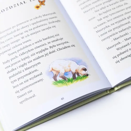 Baranek Maurycego i poszukiwanie tożsamości na Arena.pl