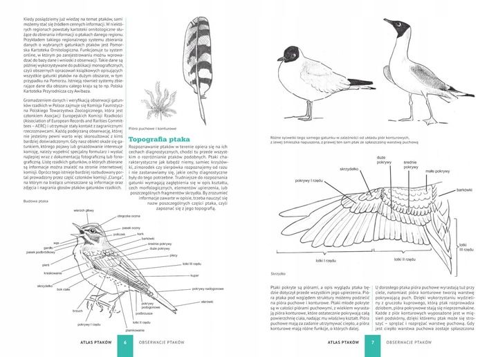 ATLAS PTAKÓW PTAKI POLSKI 250 GATUNKÓW TWARDA OPRAWA KSIĄŻKA NA PREZENT zdjęcie 2