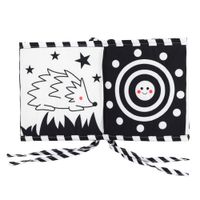 DLA DZIECI 2W1 MATA EDUKACYJNA KSIAZECZKA