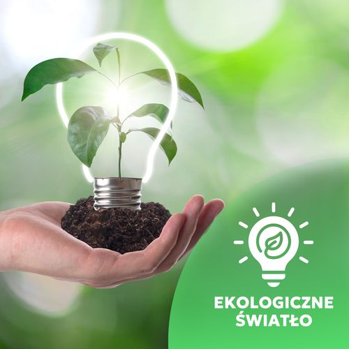 Moduł LED INSERT 5W barwa zimnobiała na Arena.pl