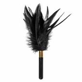 piórko- ticler burlesque plume black