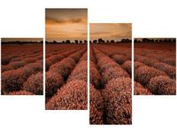 140CM 70 OBRAZ OSZAŁAMIAJĄCY KRAJOBRAZ LAWENDĄ POMARAŃCZU ŚCIENNY