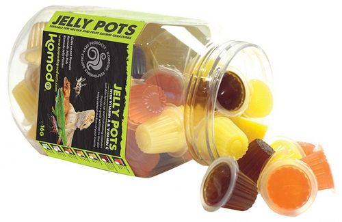 Komodo Jelly Pot Classic na Arena.pl