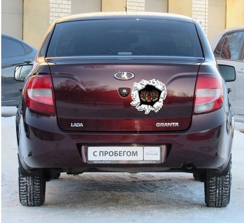 Wlepa Kocie Oczy Koteczek Słodziaczek Kicia Dziura na Arena.pl