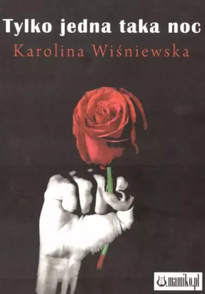 Tylko jedna taka noc zdjęcie 1