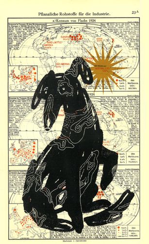 Pod psią gwiazdą na Arena.pl