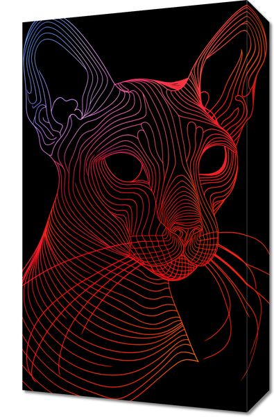 Obraz 30x50cm Cyfrowa Kocica zdjęcie 1