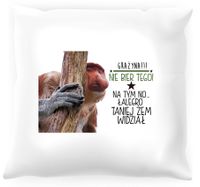 Poduszka z nosaczem -  W łalegro taniej