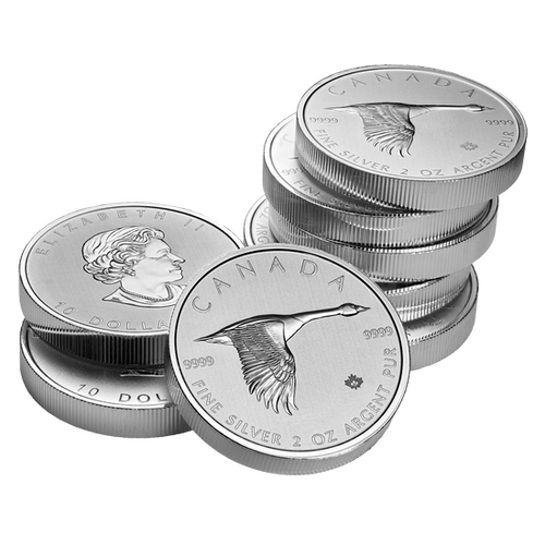 Gęś 2 uncje Srebra 2020 na Arena.pl