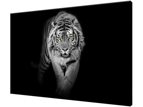 Obraz drukowany na płótnie canvas 120x80 + GRATIS na Arena.pl