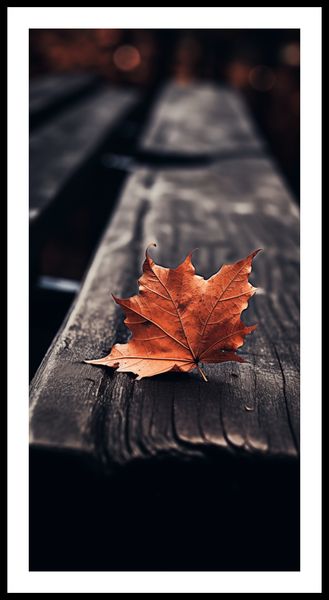 Plakat 50x100cm Pojedynczy Liść zdjęcie 3